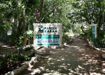Invitan a conocer las Áreas Naturales Protegidas de Cancún