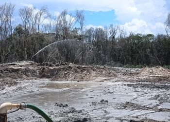 Luego de un mes, apagan incendio cerca de fraccionamiento en Playa del Carmen