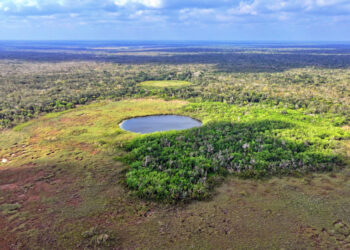 Crean en Quintana Roo el Área Natural Protegida 227 del país