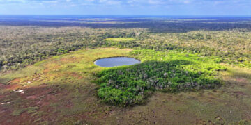 Crean en Quintana Roo el Área Natural Protegida 227 del país