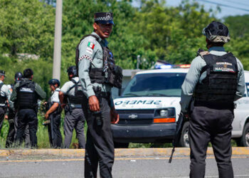 Declaran como prioridad el combate a la inseguridad en Sinaloa, Chiapas y Michoacán; los demás estados tendrán que esperar