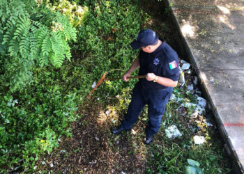 La SSC realiza el rescate de áreas públicas en escuela