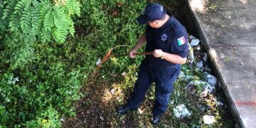 La SSC realiza el rescate de áreas públicas en escuela
