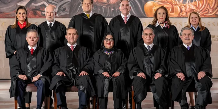 La Constitución de plastilina