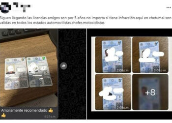 Advierten en Playa del Carmen sobre licencias fraudulentas que se ofrecen en redes sociales