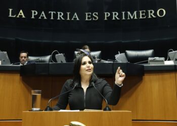 Mayuli Martínez lamenta que por mero formulismo se desestimó acción contra reforma judicial