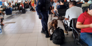 Unidades K9 realizan operativos en cárceles y terminales de autobuses