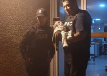 Rescatan a bebé reportado como desaparecido en la Navidad