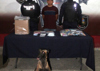 Detenido narcomenudista en la terminal de ADO
