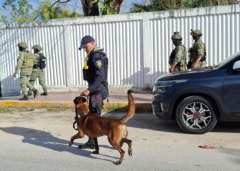 Intensa labor policiaca para reforzar la seguridad en Q.Roo