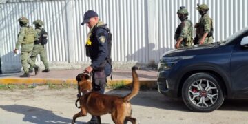 Intensa labor policiaca para reforzar la seguridad en Q.Roo