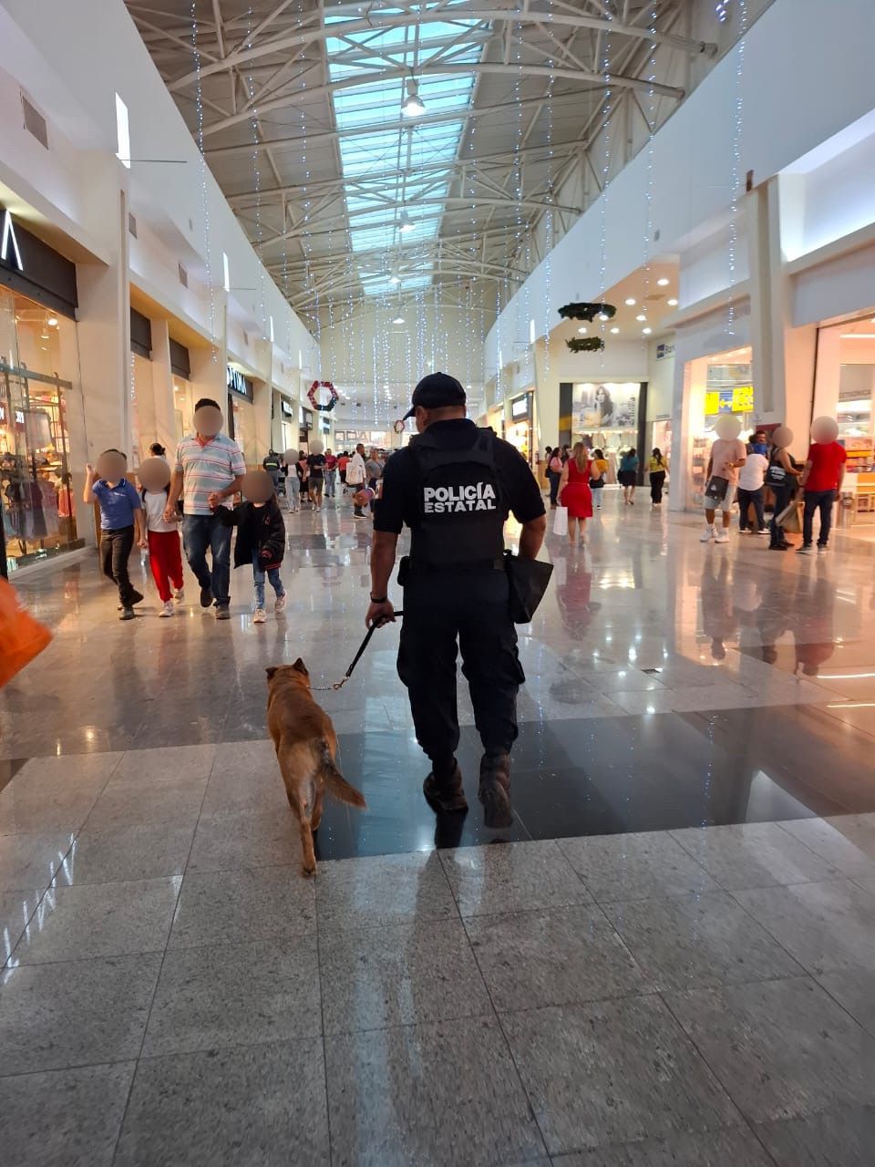 Intensa labor policiaca para reforzar la seguridad en Q.Roo