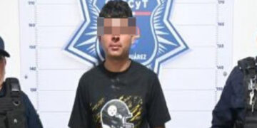 Detenido por robar bolso y su teléfono a una mujer