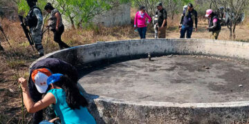 El horror continúa en diversas partes de México, con el descubrimiento de nuevos campos de exterminio. En la frontera, que enfrenta un aumento de la violencia, se ha localizado un nuevo sitio utilizado por el crimen organizado. Una semana después de que se reportara un rancho a 40 kilómetros de Guadalajara como crematorio y centro de adiestramiento para un cártel, colectivos de madres buscadoras y activistas encontraron un predio con restos humanos en la zona conurbada de Reynosa. Los integrantes de estos grupos afirmaron que el lunes localizaron un terreno con al menos 14 sitios que contienen restos óseos humanos, algunos calcinados. Incluso compartieron imágenes, incluyendo un cráneo. “Son fragmentos… de todo el cuerpo humano”, declaró Edith González, del colectivo Amor por los Desaparecidos. El lugar, señalado por los activistas, se encuentra a unos 400 metros de la Colonia Colinas del Real, al poniente de la Autopista a Monterrey. Representantes del colectivo Madres Buscadoras, uno de los más importantes en Tamaulipas, indicaron que encontraron el sitio durante sus recorridos, acompañados por personal de la Guardia Nacional y del Ejército. También estuvieron presentes miembros de la Comisión Estatal de Búsqueda de Personas y un antropólogo, quien confirmó que los restos son humanos. El colectivo Amor por los Desaparecidos también reportó haber encontrado en el rancho presuntos objetos personales de las víctimas, como un rosario, una hebilla y una mochila. “Se localizó también equipo táctico de estos grupos criminales y… estos tambos donde normalmente realizan estas prácticas”, mencionó la representante de Amor por los Desaparecidos. Se intentó contactar a la Vocería de Seguridad Tamaulipas y a la Fiscalía del Estado, pero no hubo respuesta.