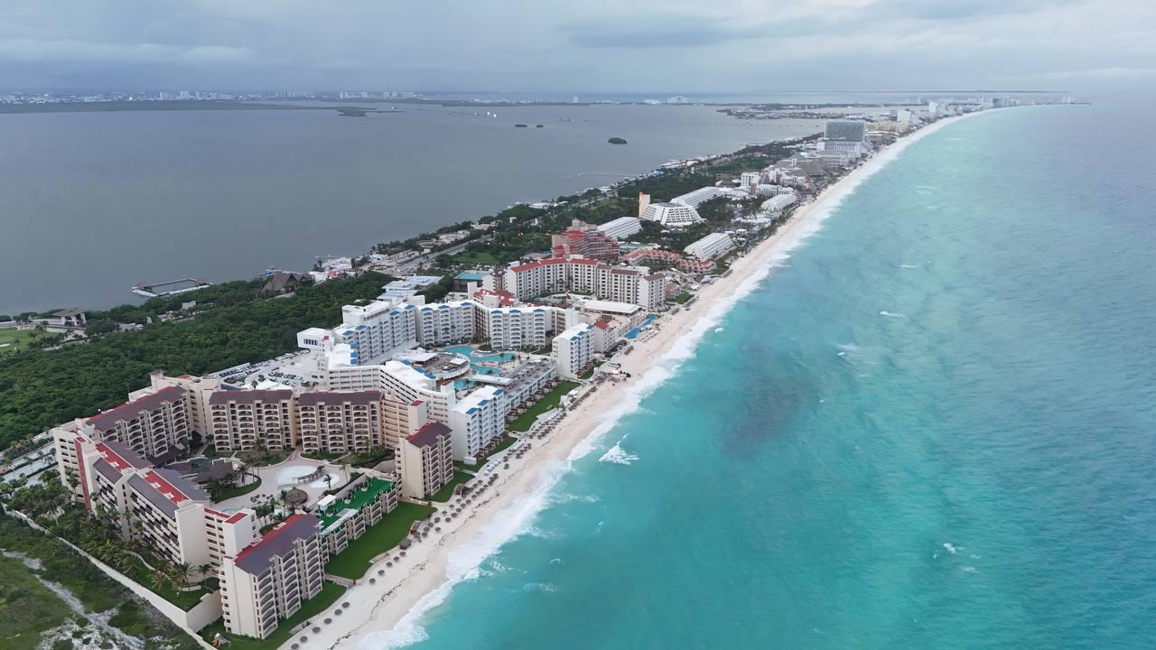 Arranca anticipadamente la temporada de anidación de tortugas en Cancún