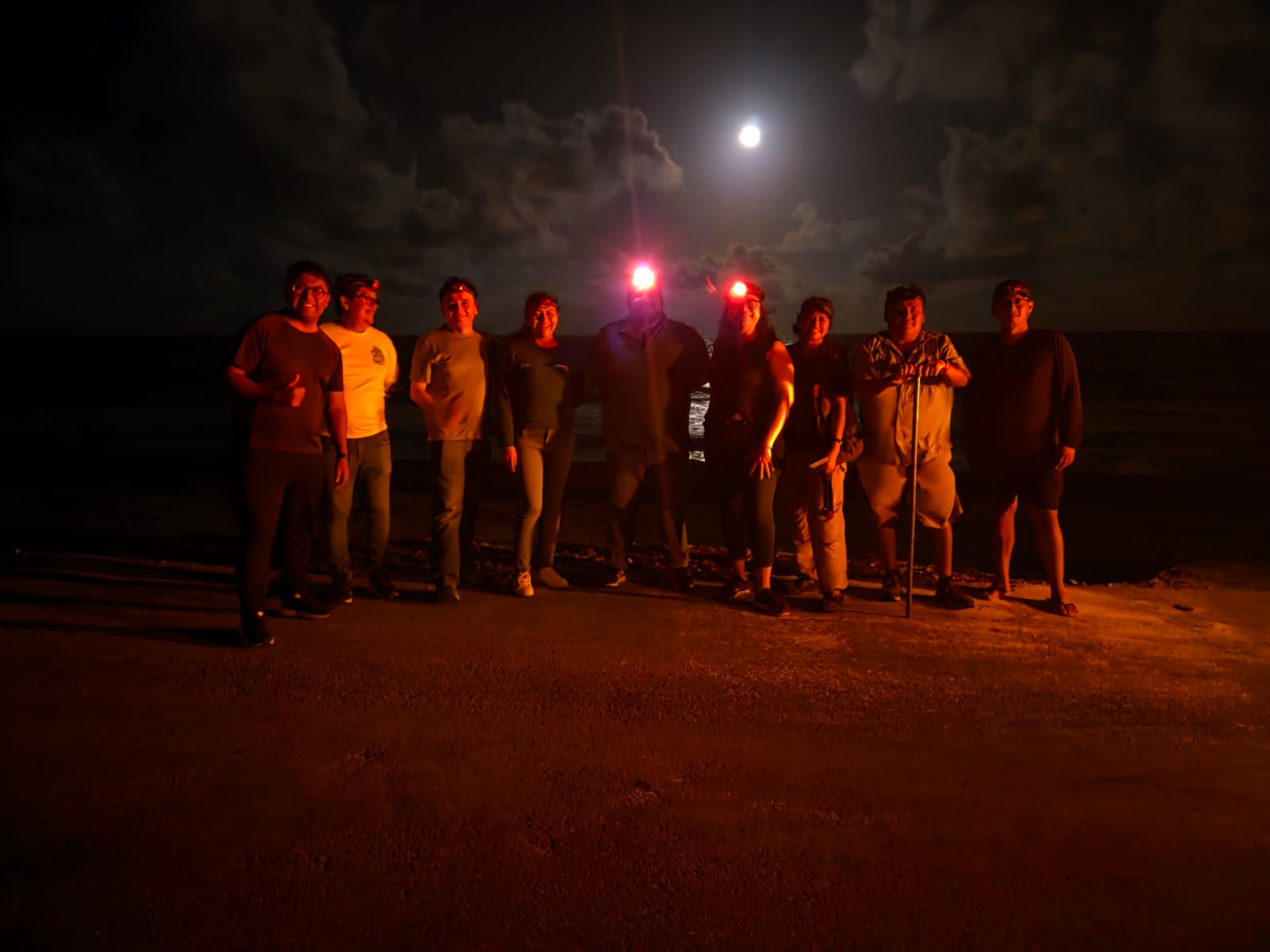 Ya registraron 30 nidos de tortuga marina en Cozumel