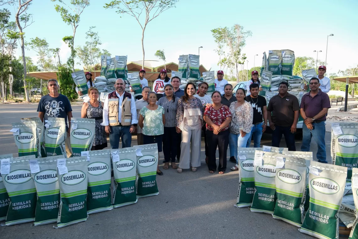 Entrega Mara Lezama 70 ton de semilla mejorada de maíz