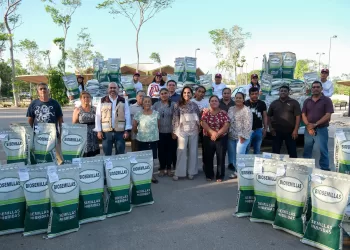 Entrega Mara Lezama 70 ton de semilla mejorada de maíz