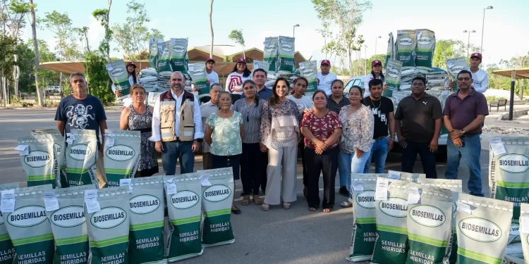 Entrega Mara Lezama 70 ton de semilla mejorada de maíz