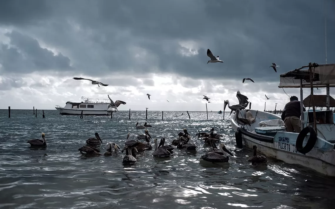 Cancún se prepara para la temporada de huracanes con acciones preventivas