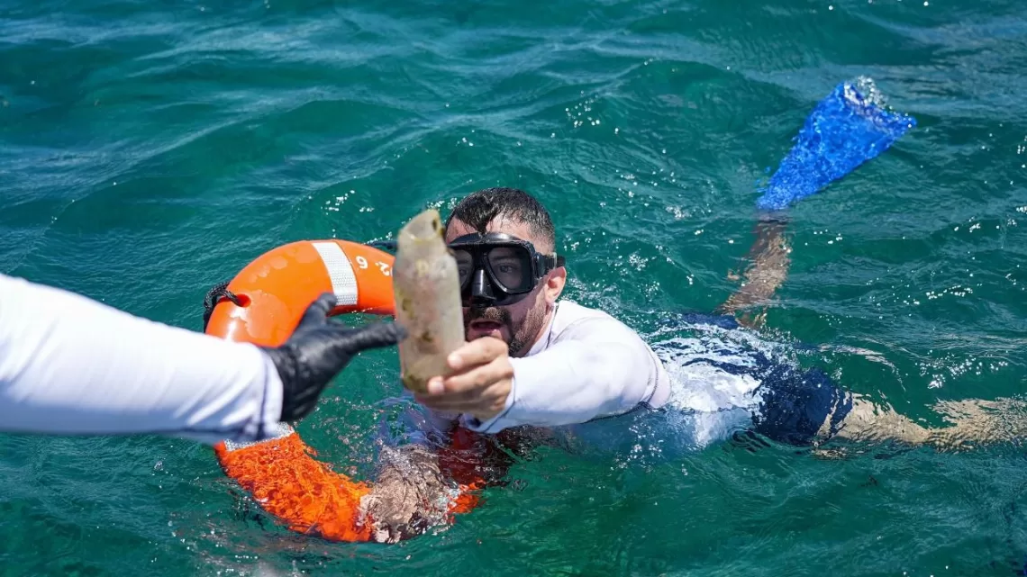 Realizan una jornada de limpieza submarina en Arrecife "El Meco"