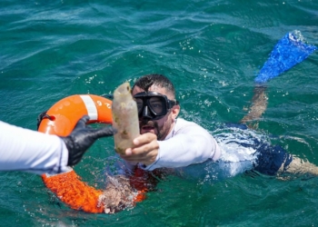 Realizan una jornada de limpieza submarina en Arrecife "El Meco"