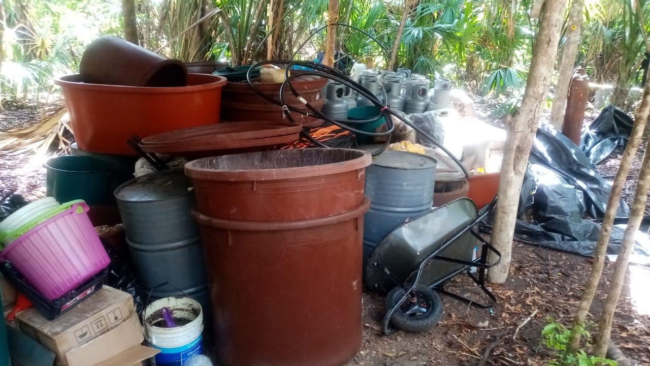 Desmantelan presunto narcolaboratorio en la zona sur de Quintana Roo
