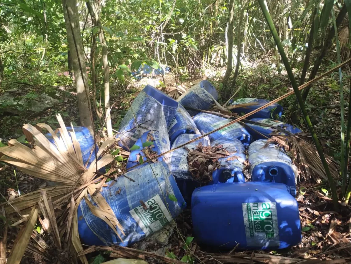 Desmantelan presunto narcolaboratorio en la zona sur de Quintana Roo