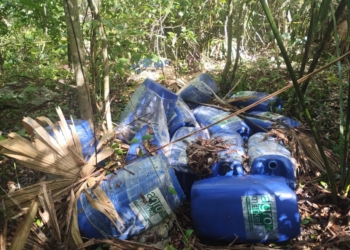 Desmantelan presunto narcolaboratorio en la zona sur de Quintana Roo
