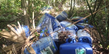 Desmantelan presunto narcolaboratorio en la zona sur de Quintana Roo