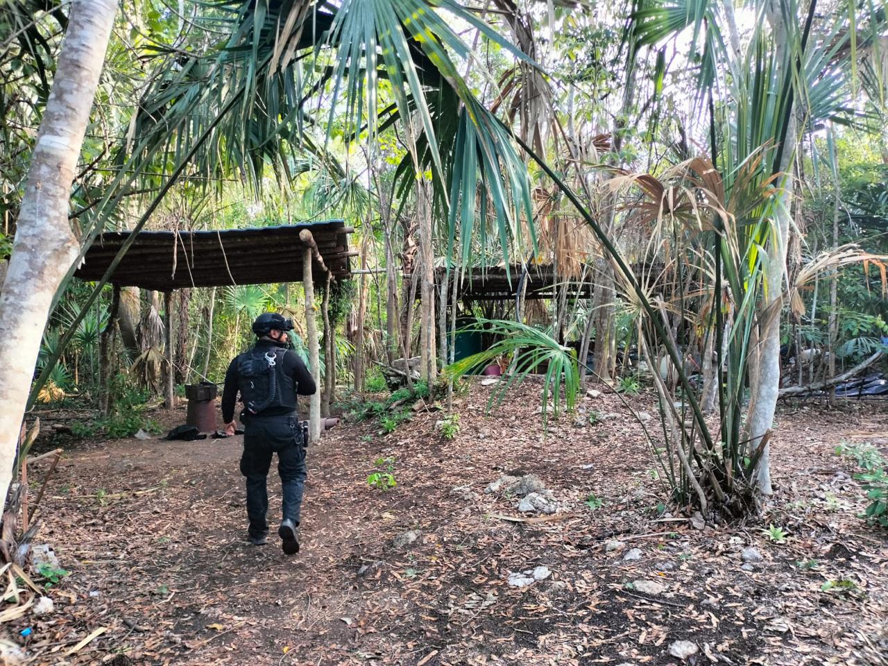 Desmantelan presunto narcolaboratorio en la zona sur de Quintana Roo