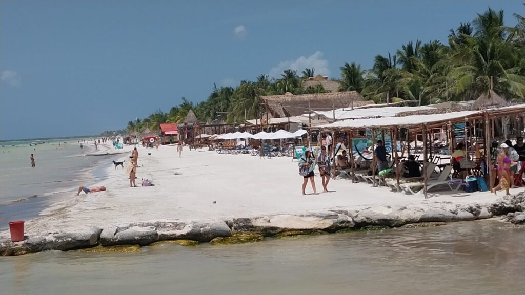 Playas de la isla Holbox están libres de sargazo