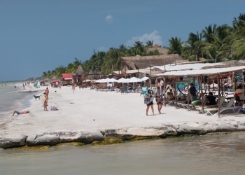 Playas de la isla Holbox están libres de sargazo