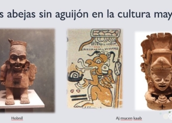 Destacan la herencia maya en la apicultura y la importancia ecológica de las abejas sin aguijón