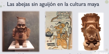 Destacan la herencia maya en la apicultura y la importancia ecológica de las abejas sin aguijón