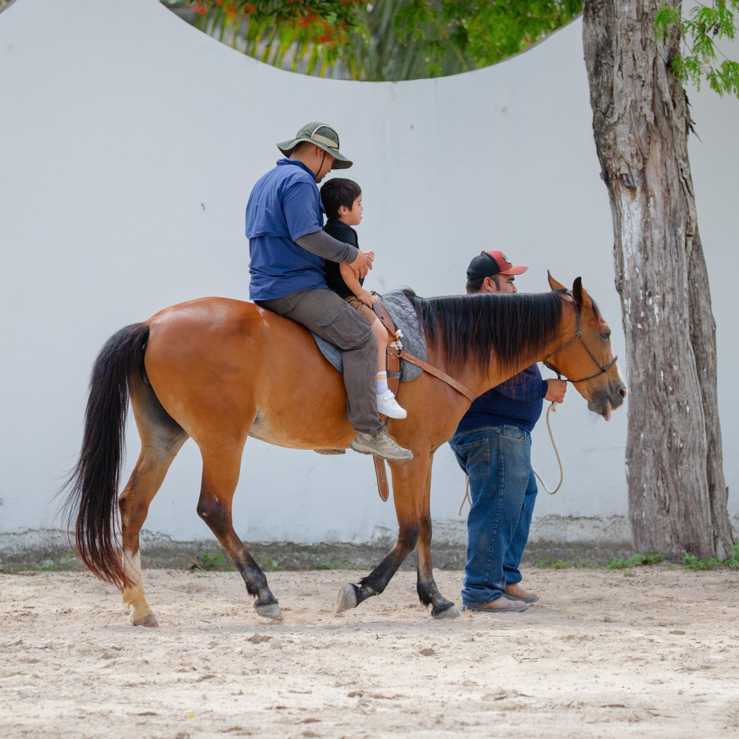 Niñas, niños y adultos mayores se benefician del Centro de Equinoterapia en Tulum