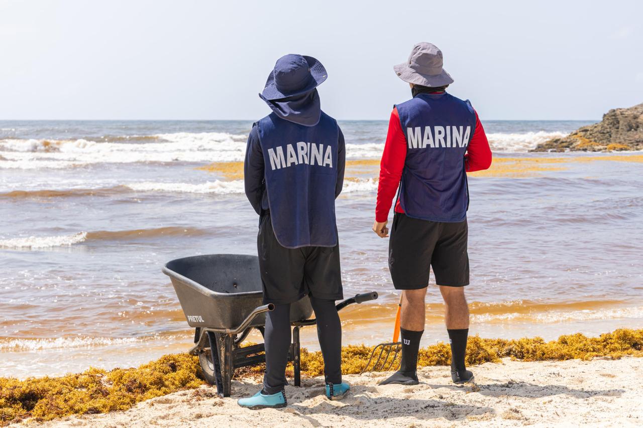 Marina despliega 70 elementos en Tulum para combatir recale atípico de sargazo