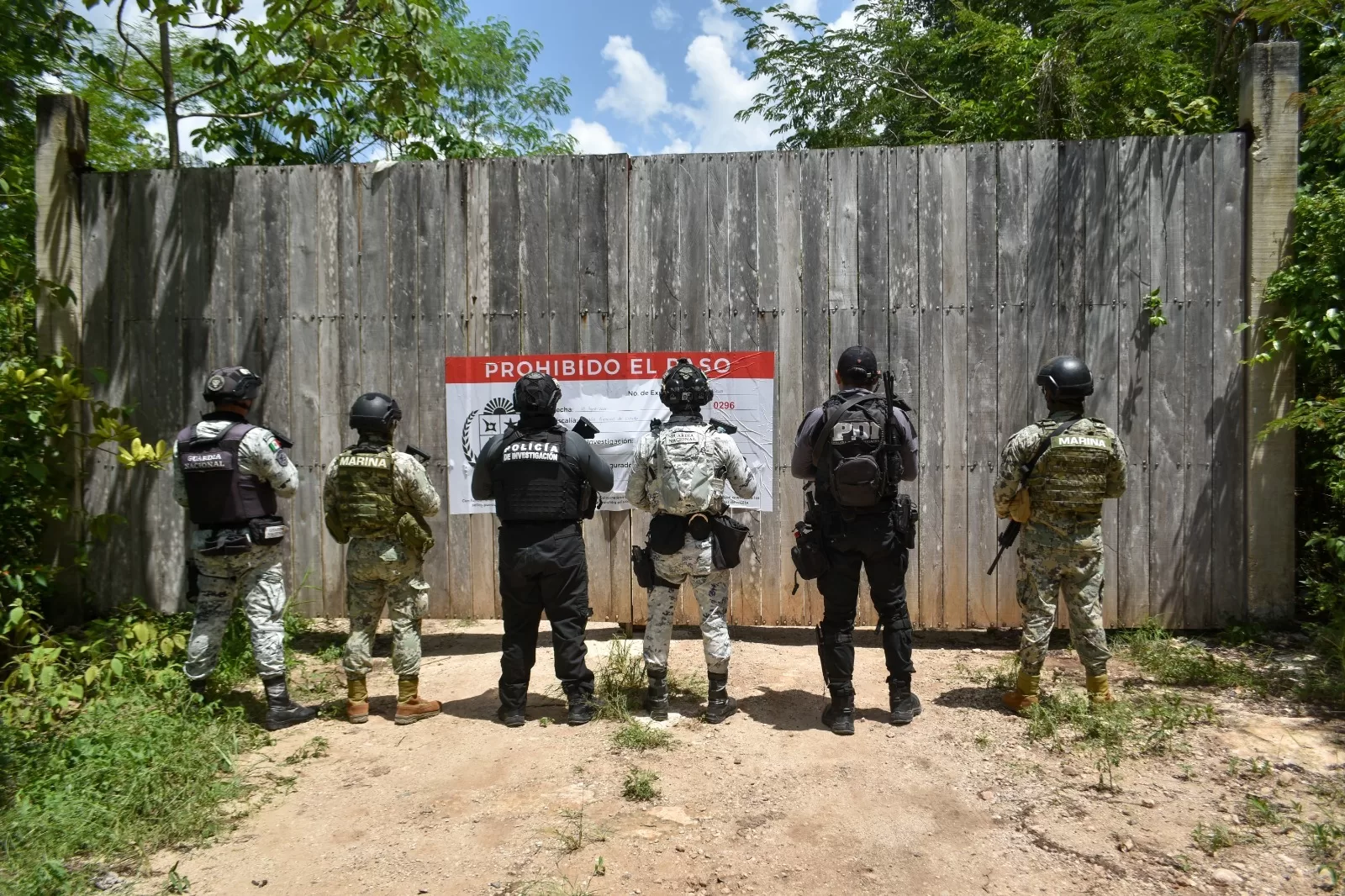 Aseguran predio en Cancún por daños ambientales