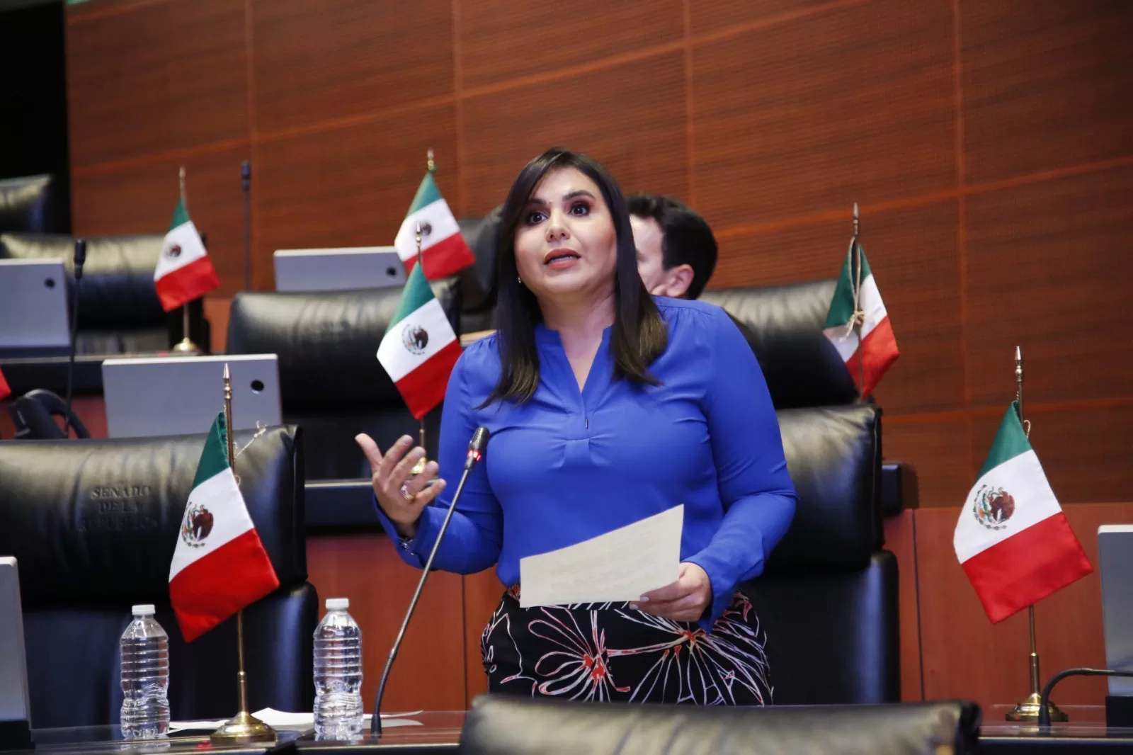 Pide Mayuli Martinez que Semarnat y Profepa protejan a mas de 100 delfines en disputa empresarial