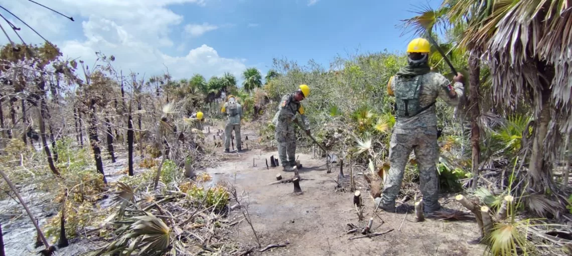 Incendio en Holbox queda totalmente liquidado tras seis días de combate