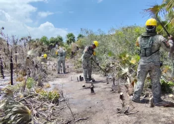 Incendio en Holbox queda totalmente liquidado tras seis días de combate