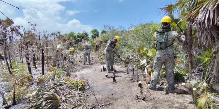 Incendio en Holbox queda totalmente liquidado tras seis días de combate