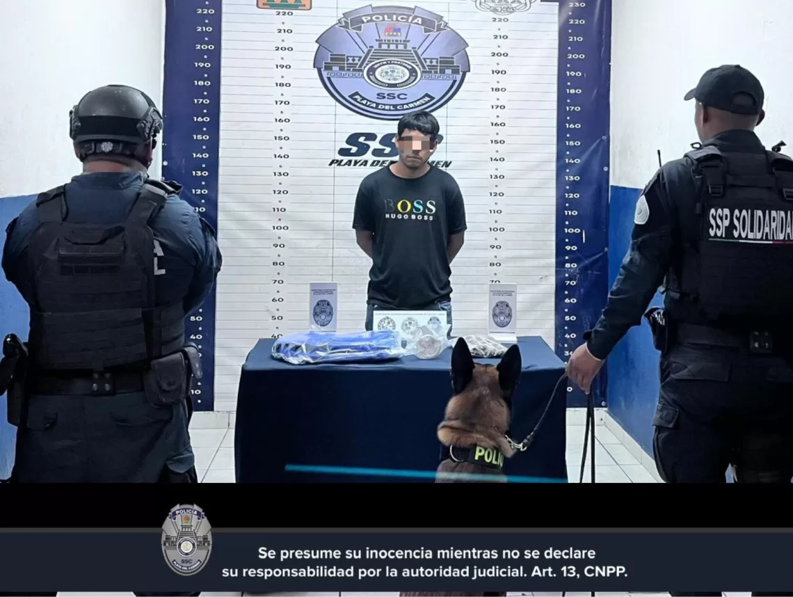 Detienen a hombre en filtro de acceso de Playa del Carmen con apoyo de binomio canino