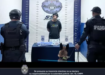 Detienen a hombre en filtro de acceso de Playa del Carmen con apoyo de binomio canino
