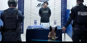 Detienen a hombre en filtro de acceso de Playa del Carmen con apoyo de binomio canino