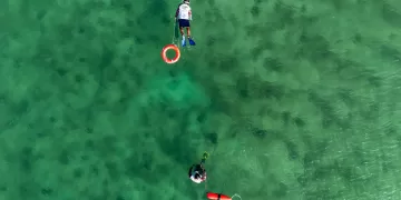 Recolectan más de 2.5 toneladas de residuos en playas y fondo marino de Playa del Carmen