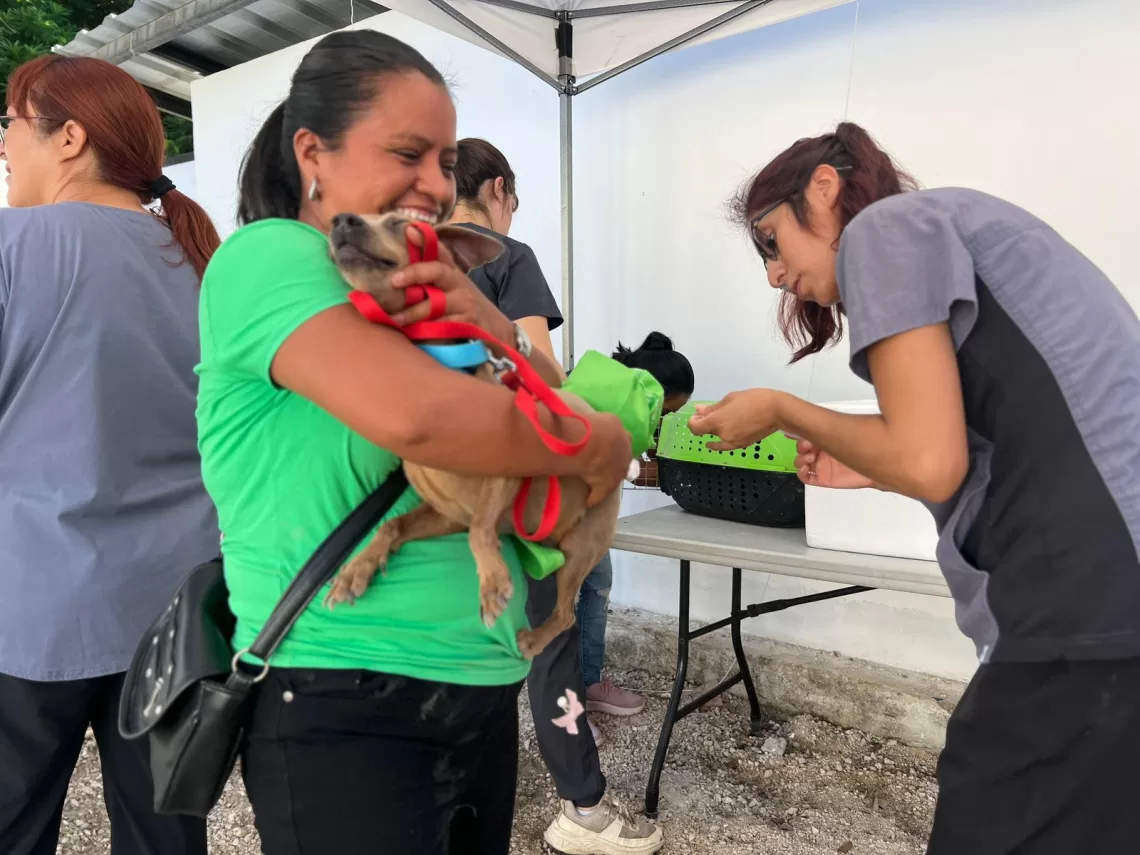 Agotan en Cancún casi 400 vacunas antirrábicas en menos de 3 horas