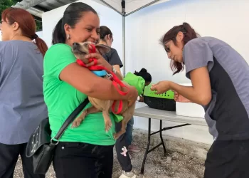 Agotan en Cancún casi 400 vacunas antirrábicas en menos de 3 horas