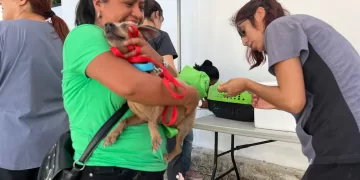 Agotan en Cancún casi 400 vacunas antirrábicas en menos de 3 horas