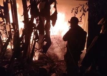 Sofocan Bomberos incendio en carpintería de Cancún